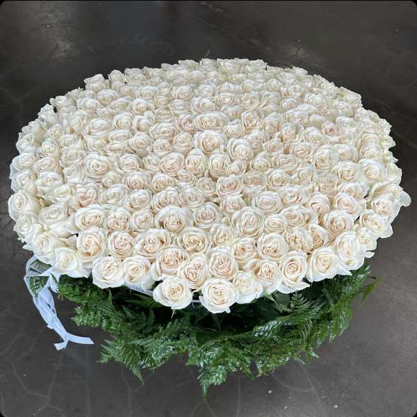 Large round bouquet of cream roses with green foliage