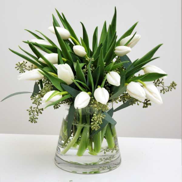 White tulips arranged in a clear glass vase with greenery