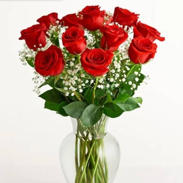 Red roses arranged in a clear glass vase with baby's breath