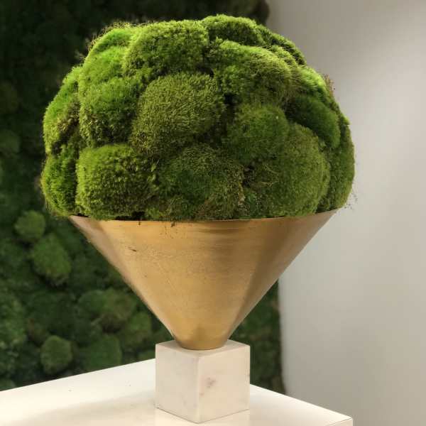 Sculpted green moss dome in a gold cone vase on a white cube base