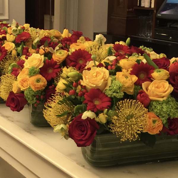 Rows of colorful flower arrangements in low rectangular containers