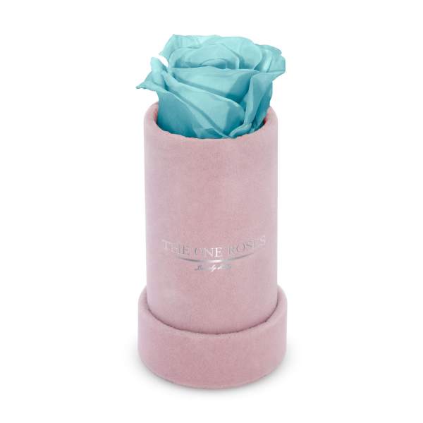 Single blue rose in a pink cylindrical box