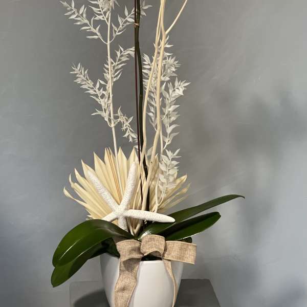 White orchid arrangement in a white pot with a burlap bow