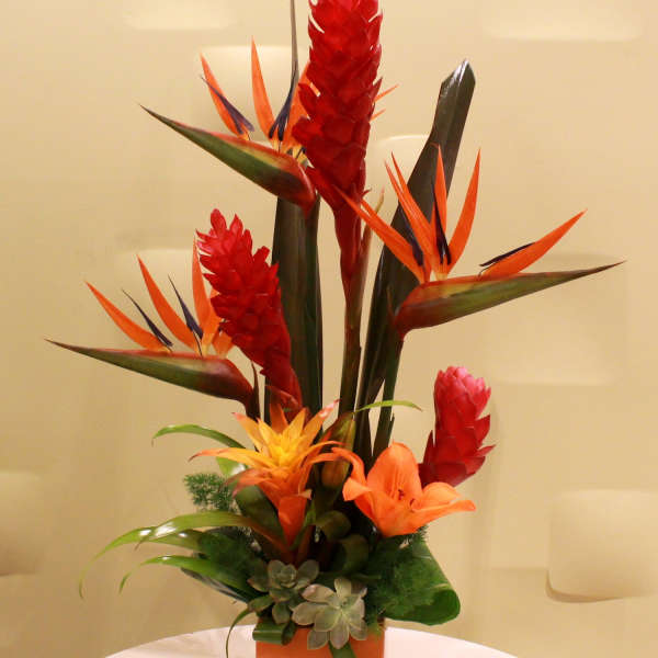 Tropical flower arrangement with red ginger and orange bird of paradise in a square vase