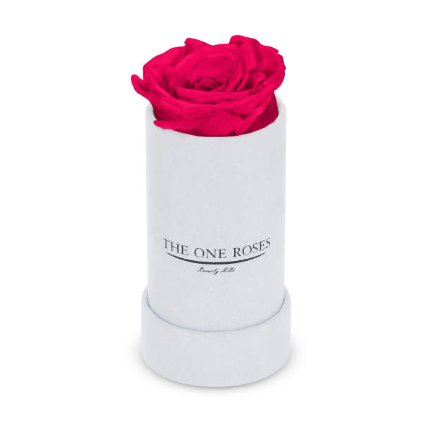 Single bright pink rose in a white cylindrical box