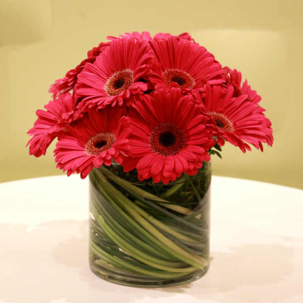 Pink gerbera daisies arranged in a clear glass vase