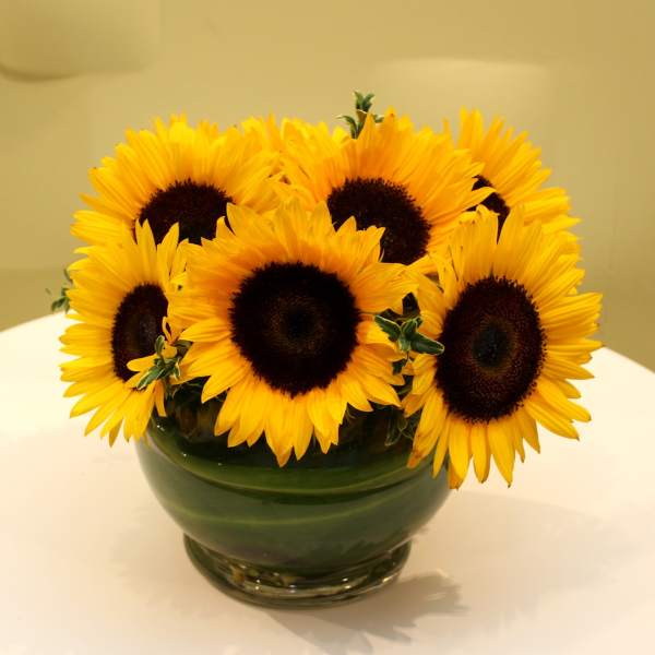 Bouquet of sunflowers in a green glass bowl vase
