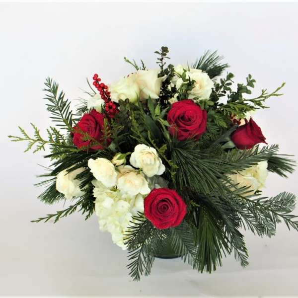 Bouquet of red and white roses with evergreen foliage