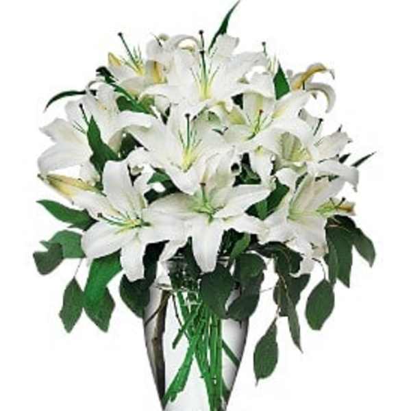 White lilies arranged in a clear glass vase