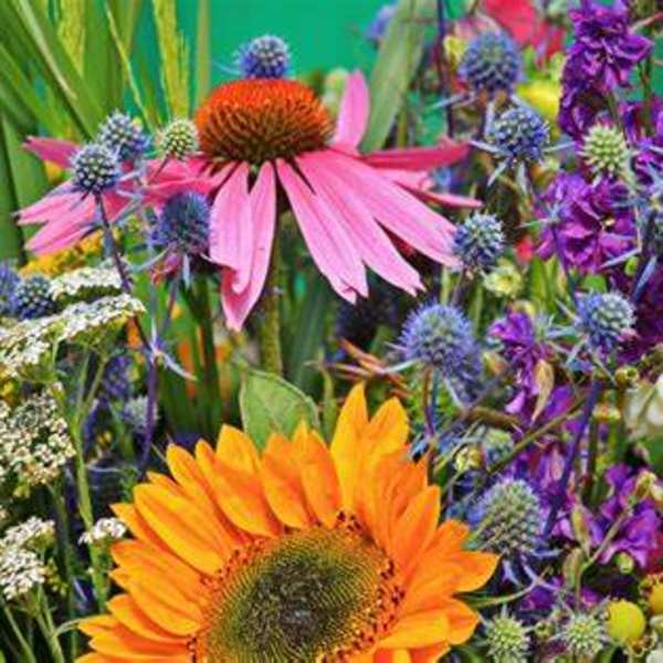 Bright mixed bouquet with pink and orange coneflowers and purple blooms