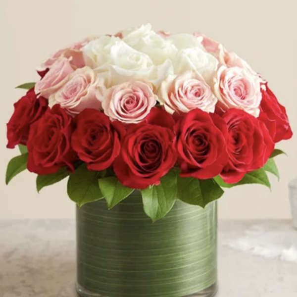 Red, pink, and white roses arranged in a green vase
