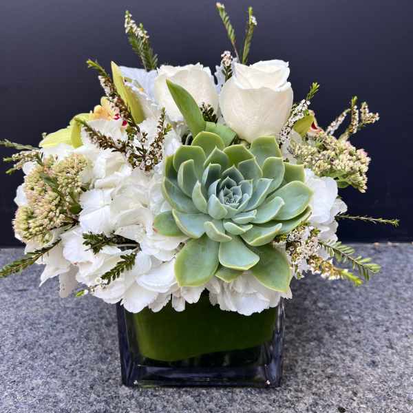 Low square arrangement with green succulent, white roses and hydrangeas in a clear glass cube vase.