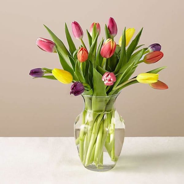 Bouquet of multicolored tulips in a clear glass vase