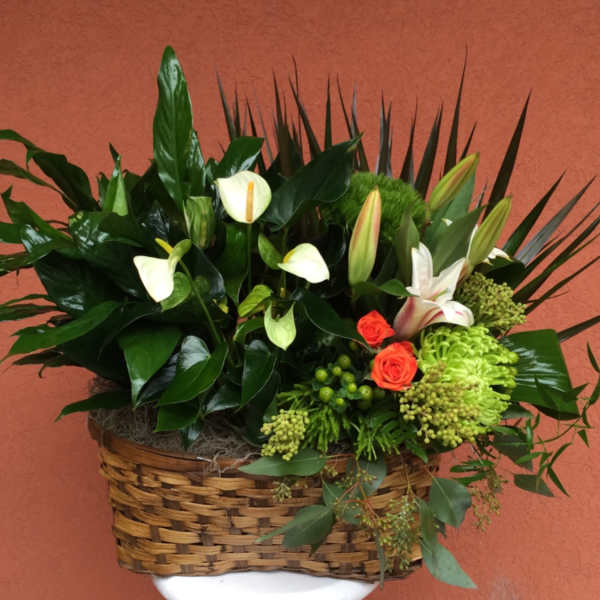 Basket arrangement with white calla lilies, orange roses, and green blooms