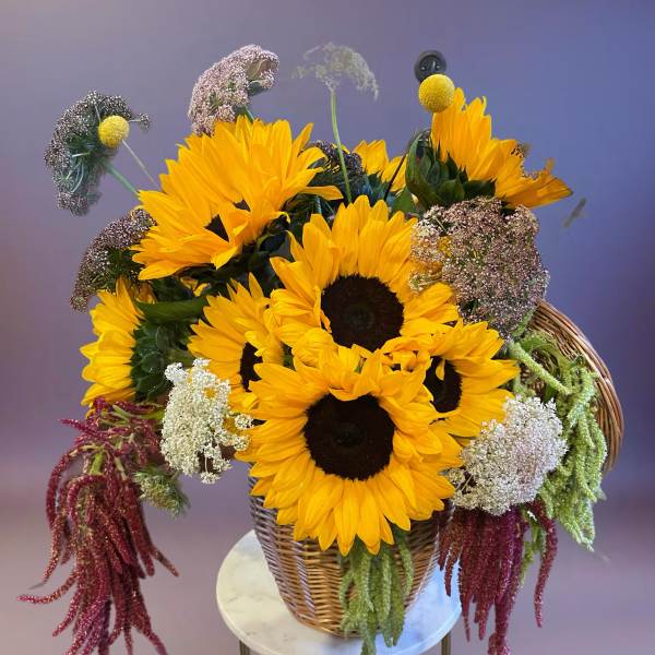 Basket arrangement of sunflowers with mixed filler flowers