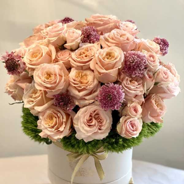 Hat Box Designer's Choice $200 - $250 - $300.