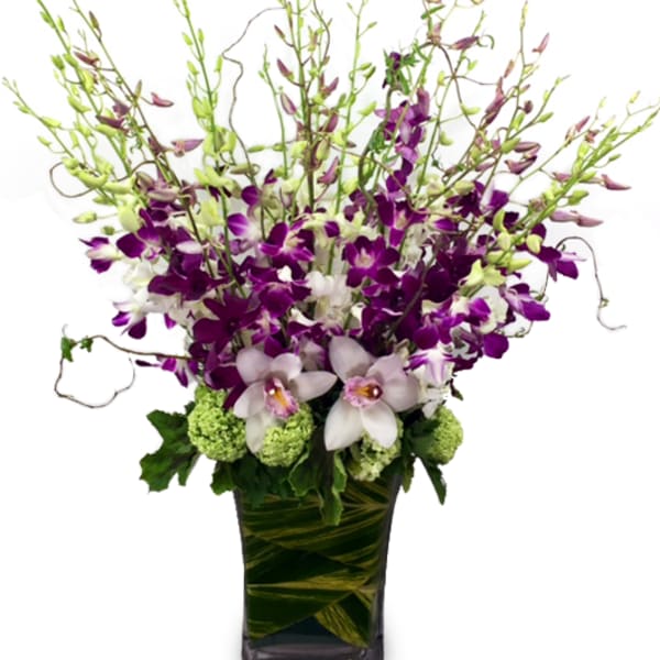 Purple and white orchids in a tall glass vase