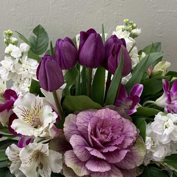 Purple tulips and white flowers with a pink ornamental cabbage