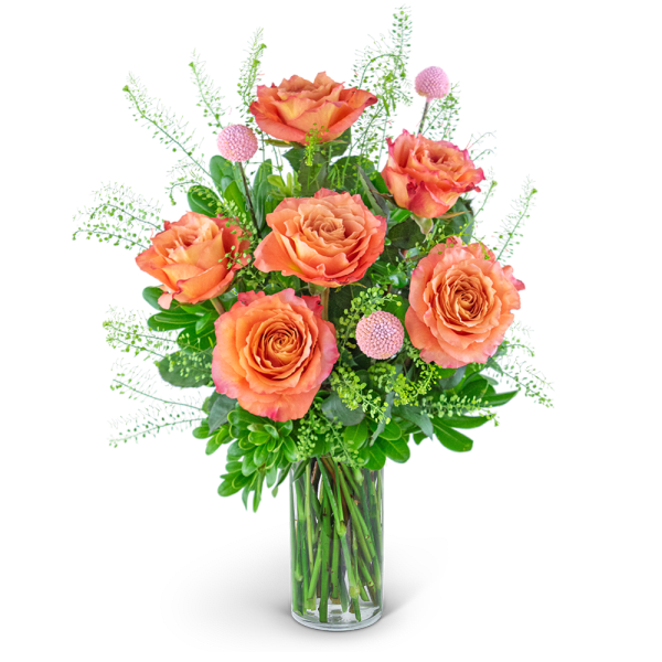 Orange roses in a clear glass vase with pink pom-pom accents