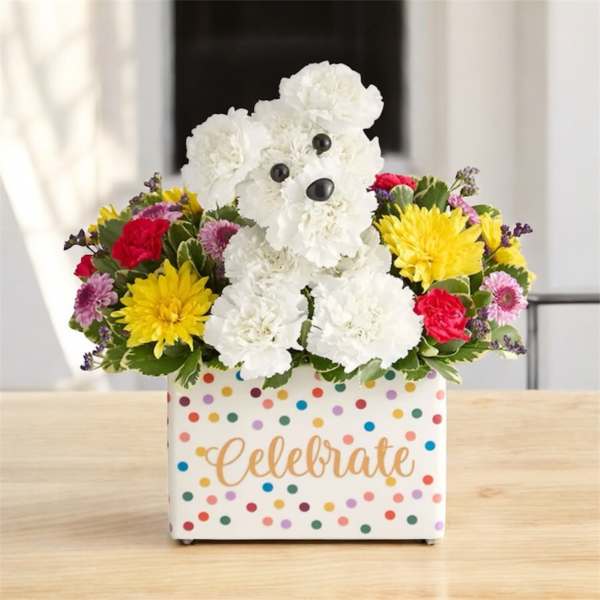 Flower arrangement with a teddy bear in a polka-dot box