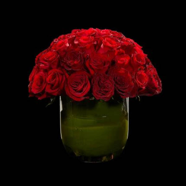 Dome of red roses arranged in a clear glass vase with a green-wrapped base on a black background