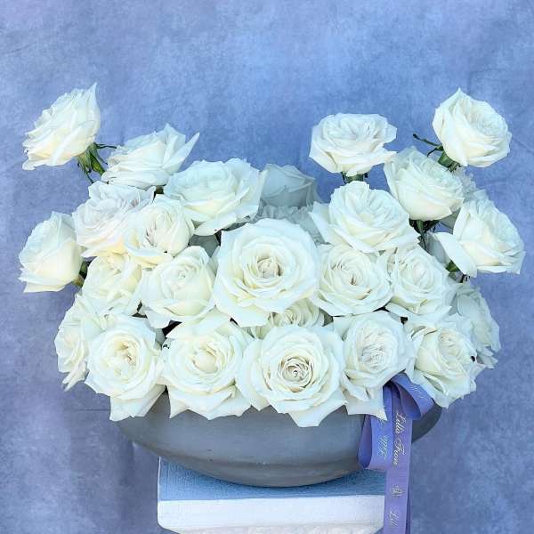 White roses arranged in a low gray bowl with a purple ribbon