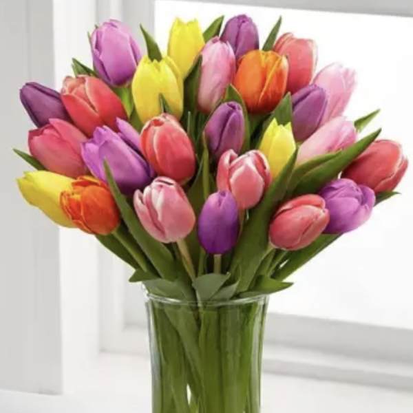 Colorful tulips arranged in a clear glass vase