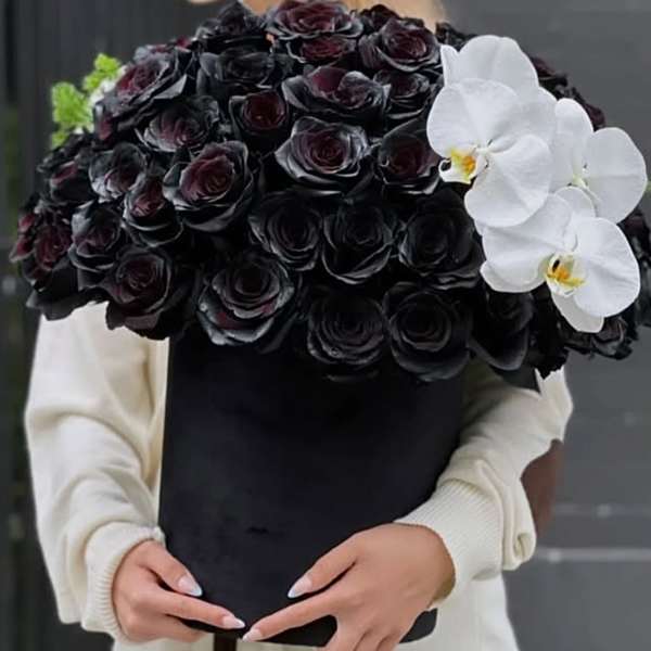 Black rose bouquet with white orchids in a black wrap