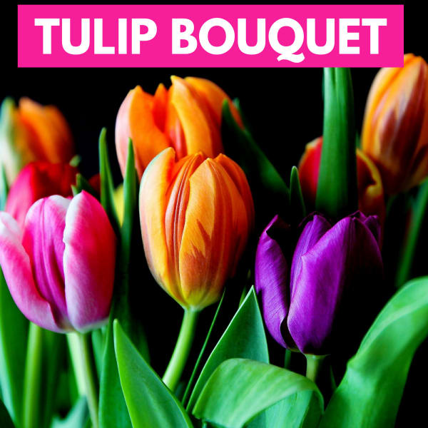 Colorful bouquet of pink, orange, and purple tulips against a dark background.