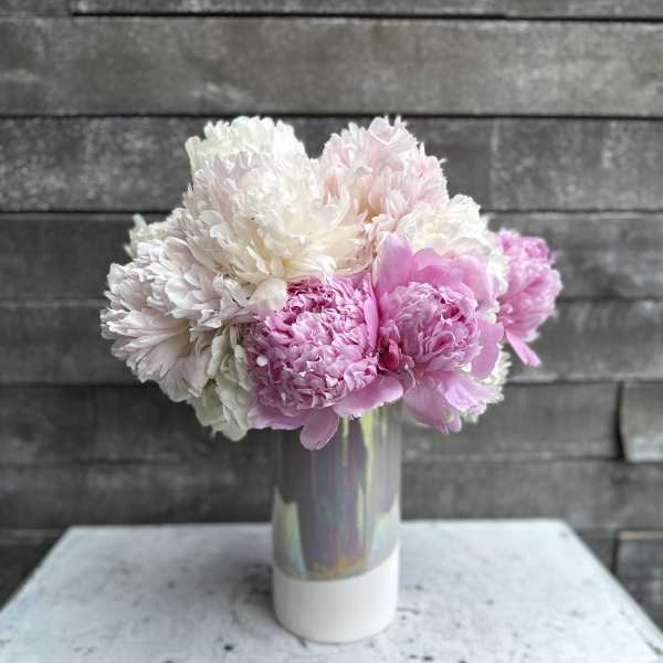 Pink and white peonies in a tall vase