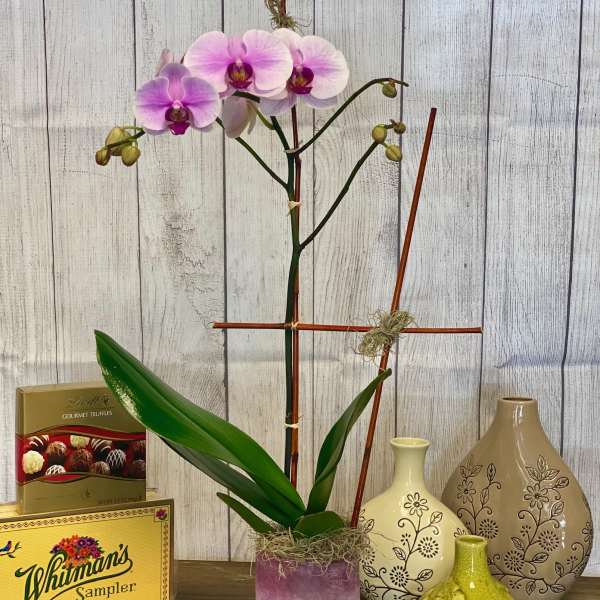 Pink orchid arrangement in a purple pot with gift boxes and decorative vases