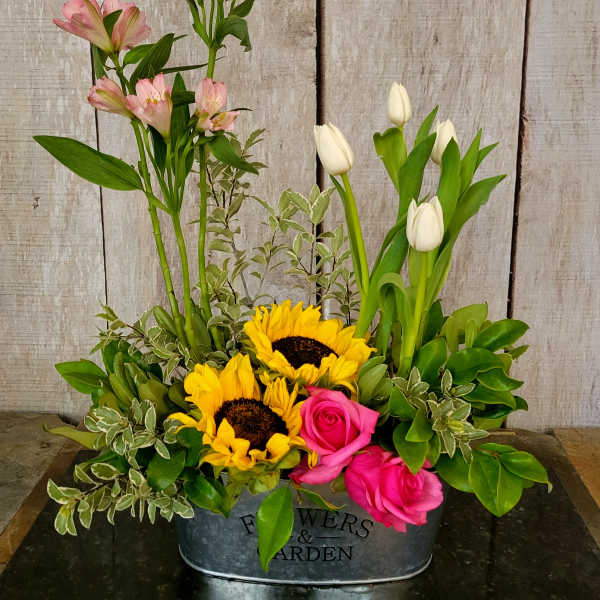 Mixed bouquet with sunflowers, pink roses, white tulips, and pink alstroemeria in a metal container
