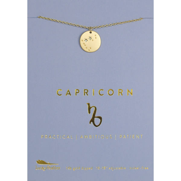 Capricorn Zodiac Necklace
