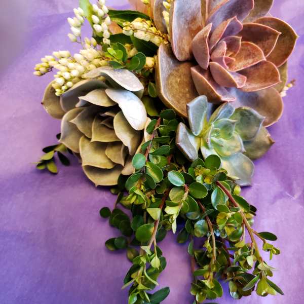 Succulent bouquet with trailing greenery on purple wrapping