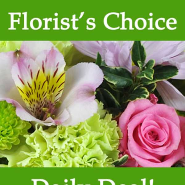 Florist Choice Daily Deal