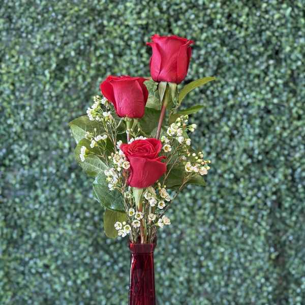 Three red roses in a tall red vase with small white filler flowers
