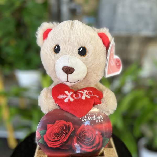 Teddy bear holding a red heart in a wooden crate with rose graphics