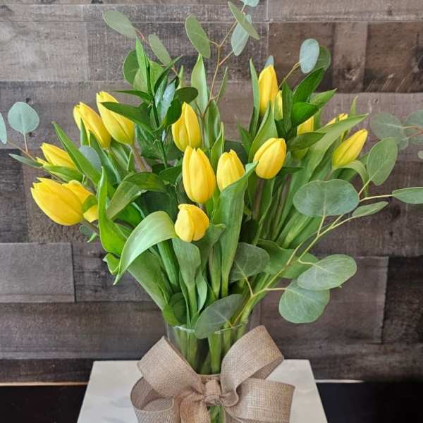 Stacie's Tulip Serenade