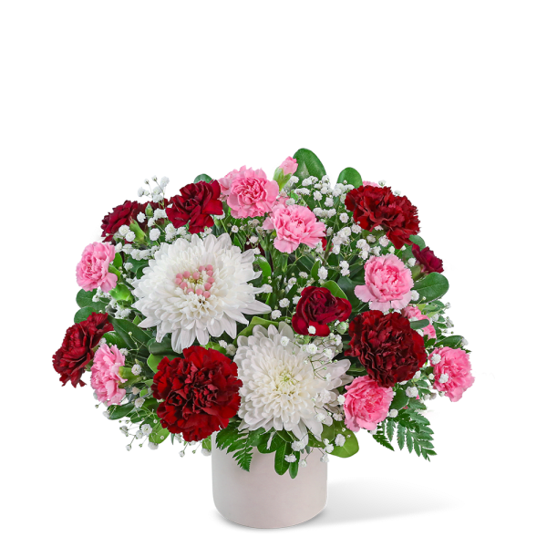 Bouquet of red and pink carnations with white chrysanthemums in a white vase