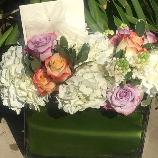 Mixed roses and white hydrangeas in a green box with a sheer bow