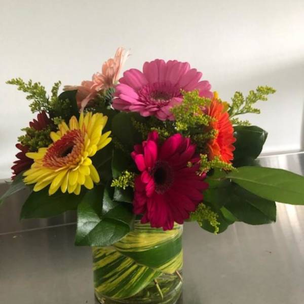 Colorful gerbera daisy bouquet in a glass vase