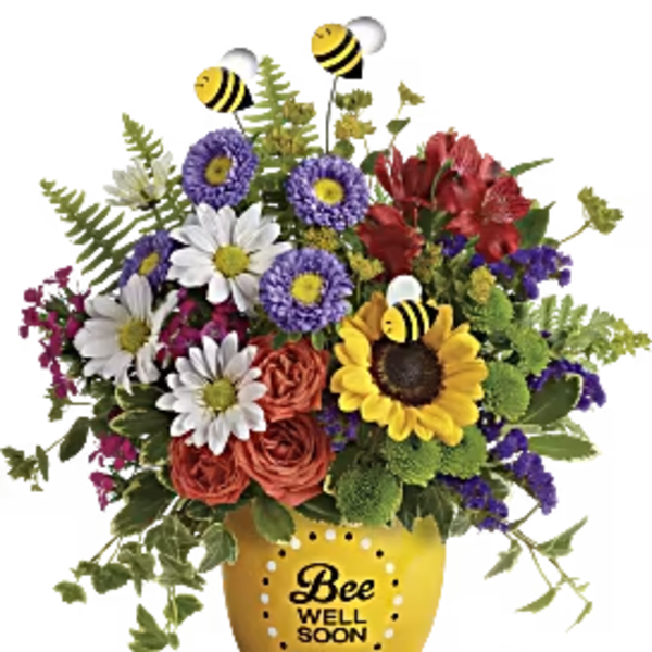 TELEFLORAS GARDEN OF WELLNESS