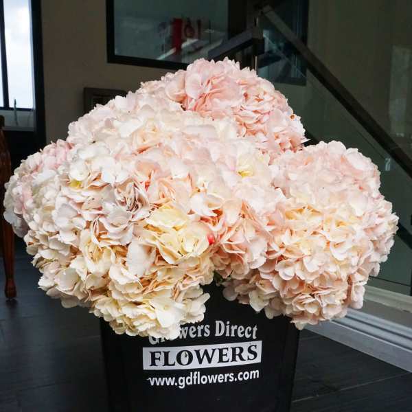 Large bundle of blush and cream flowers in a black florist bucket