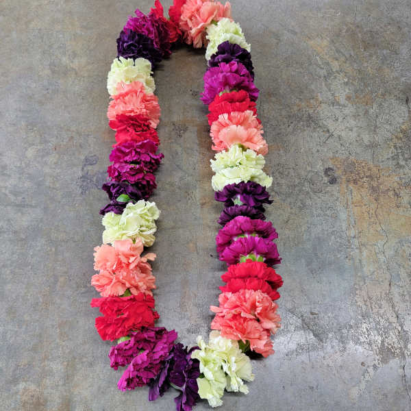 Mixed Color Carnation Lei