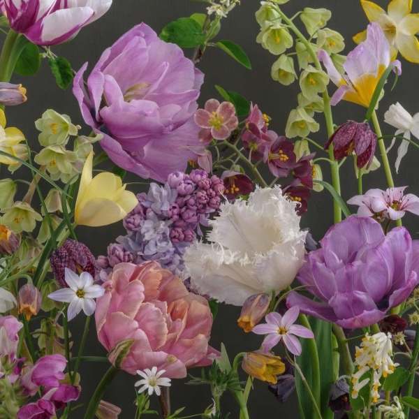 Designer's Choice $300