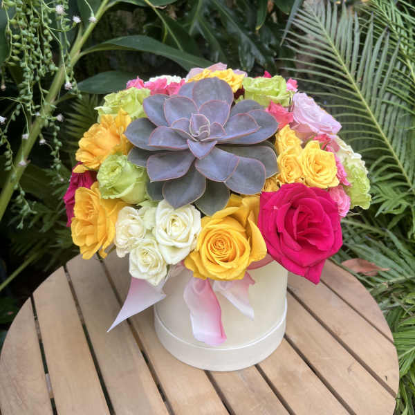 Colorful rose arrangement with a large succulent in a white hatbox