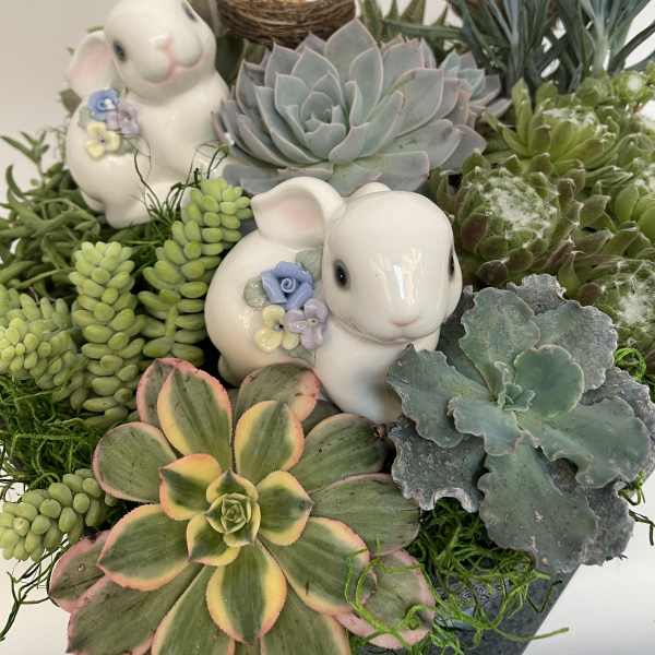 Succulent arrangement with ceramic bunny figurines