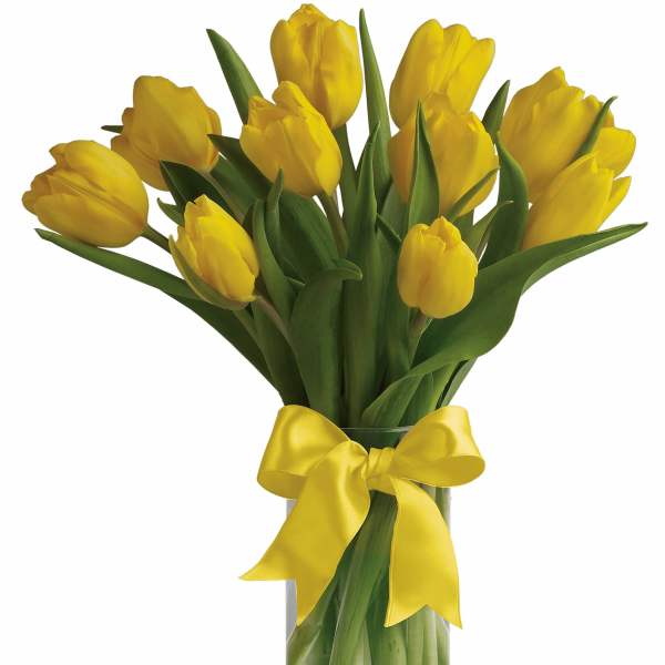 Yellow tulips arranged in a clear glass vase with a yellow ribbon