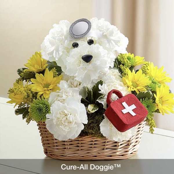 Cure All Doggie