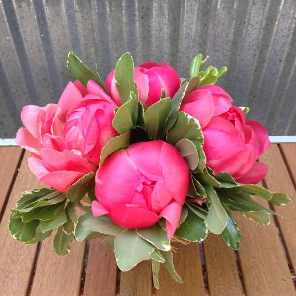 Low arrangement of bright pink peonies with dense foliage on a wooden table